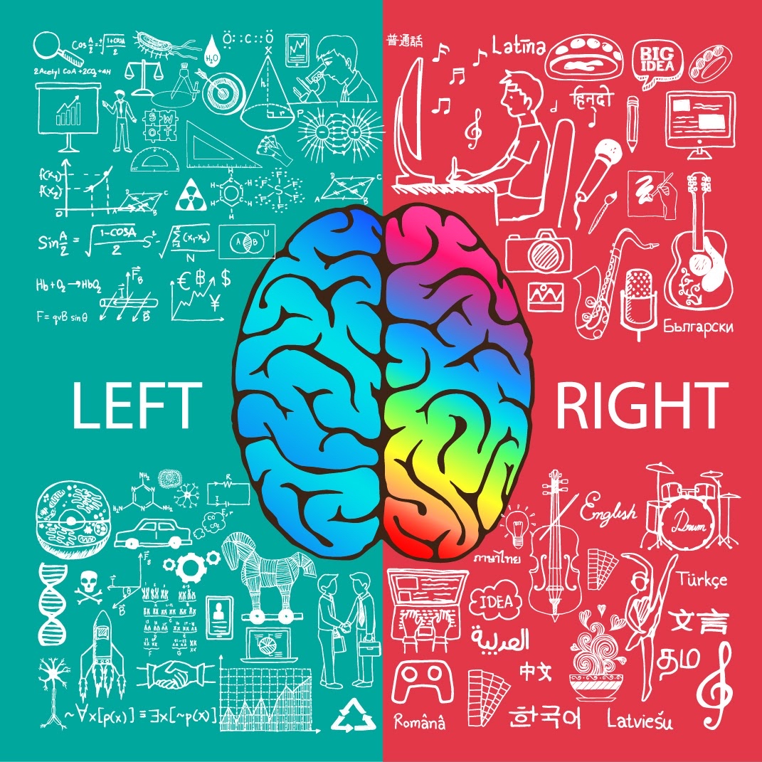 Illustration of the brain's logical left side and creative right side